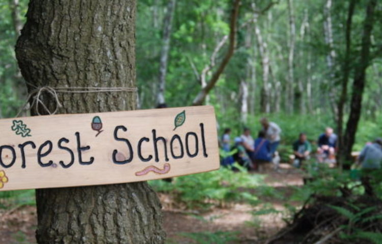 Image of Forest Schools visit to Humblescough Farm