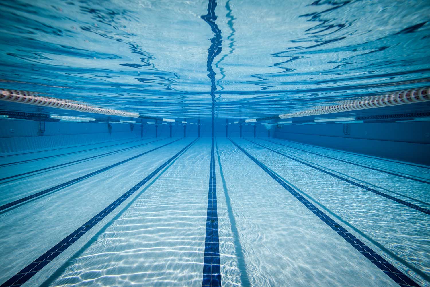 Image of Swimming