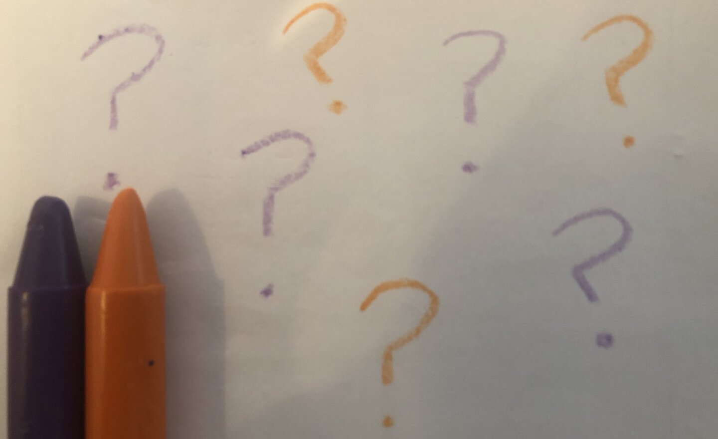 Image of Our successes this week