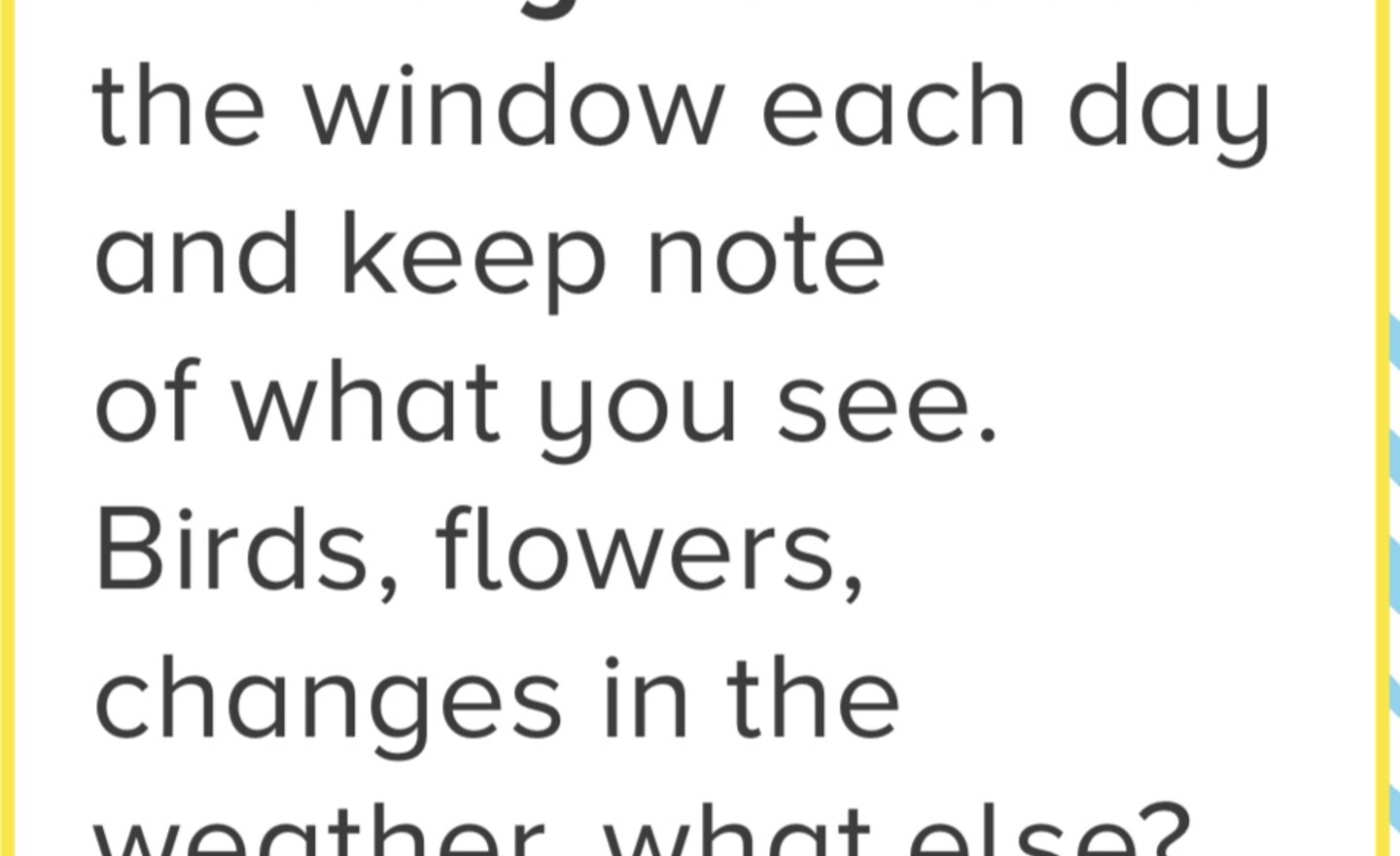 Image of Challenge 5 - Nature Diary