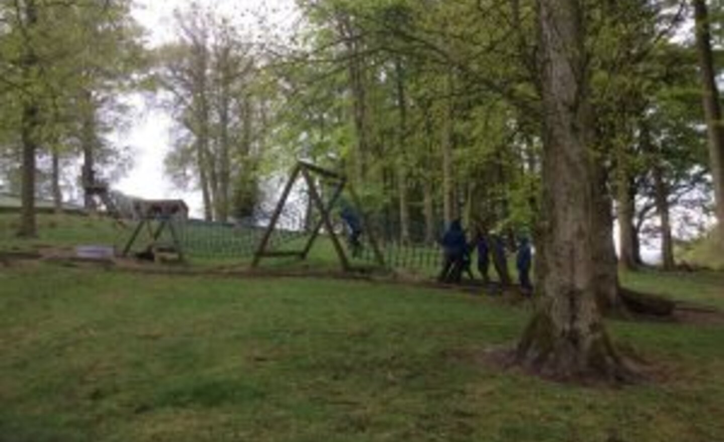 Image of Y4 on tour!!!