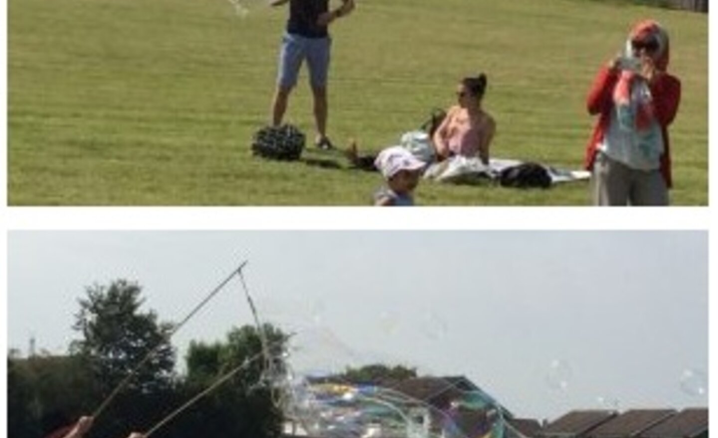 Image of What a festival!