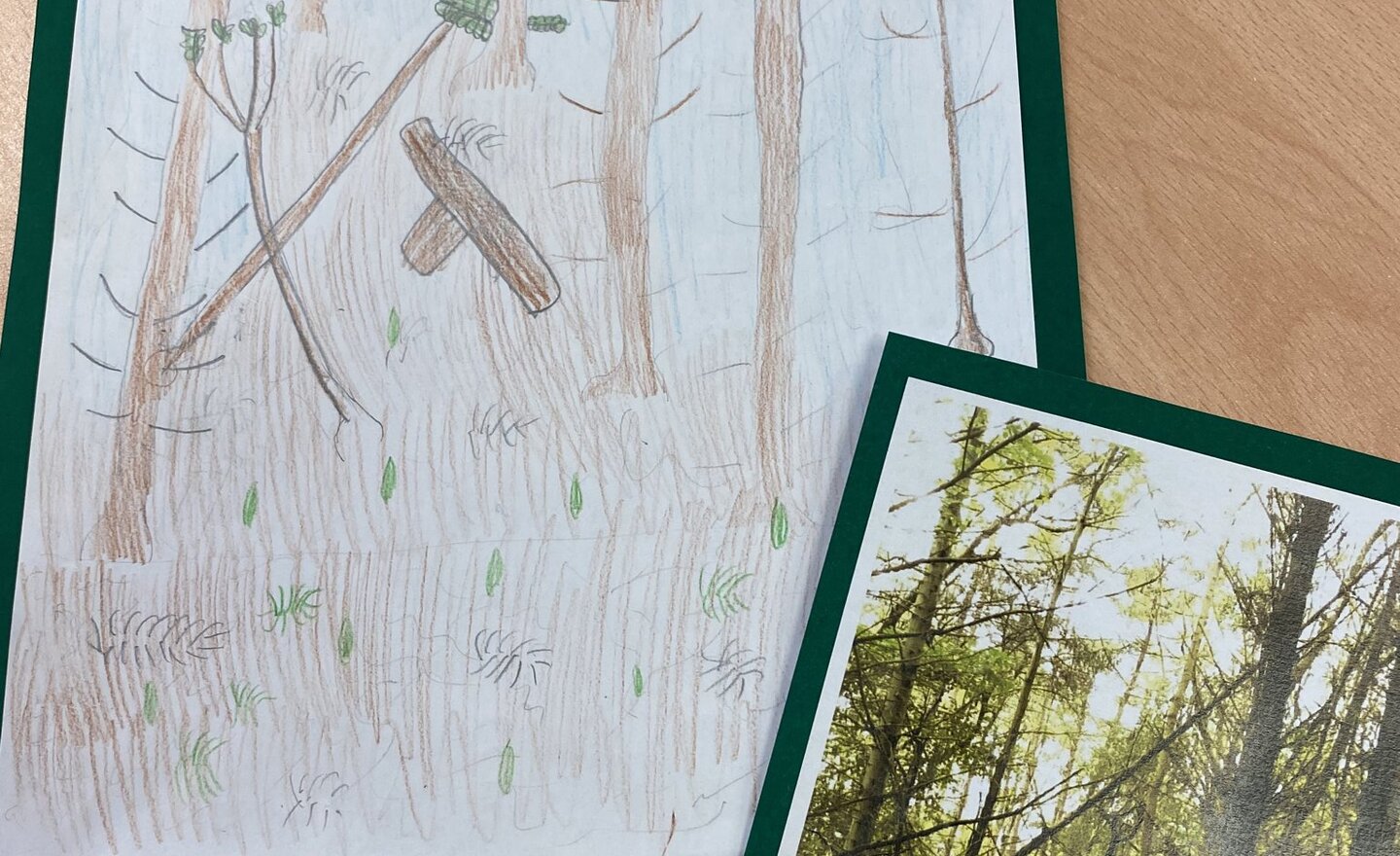 Image of ‘Into the Forest’