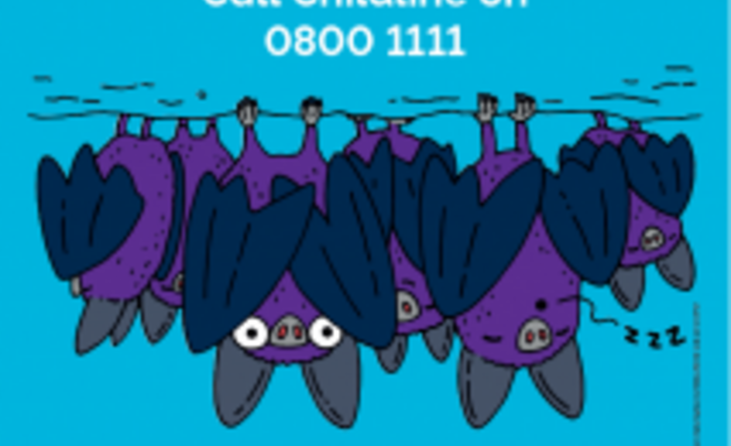 Image of The wonderful NSPCC