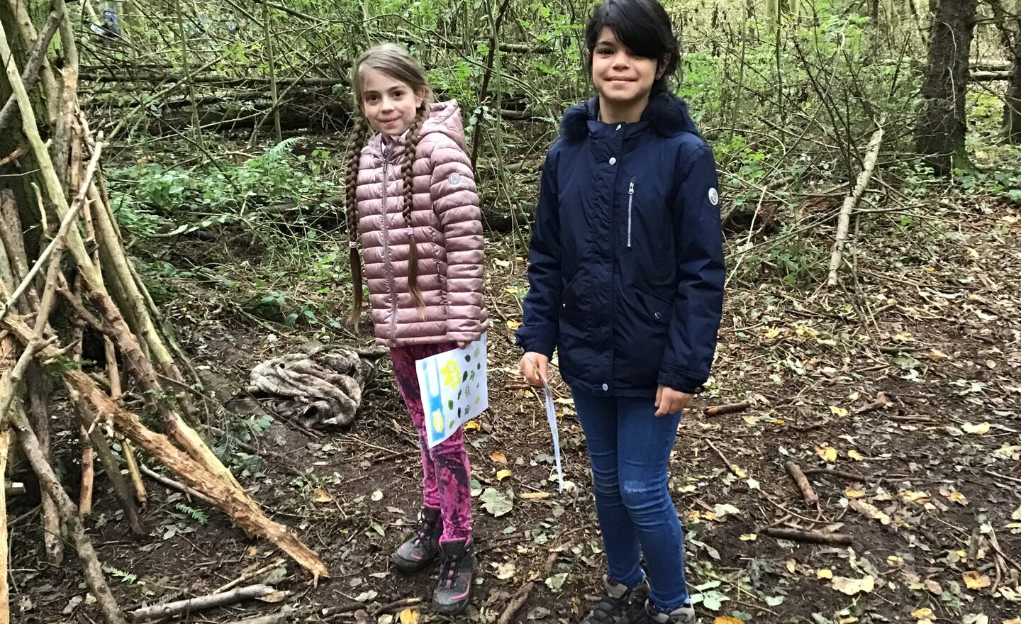 Image of The Magic of the Forest!