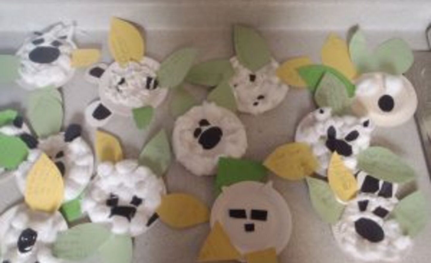 Image of Polar Bears