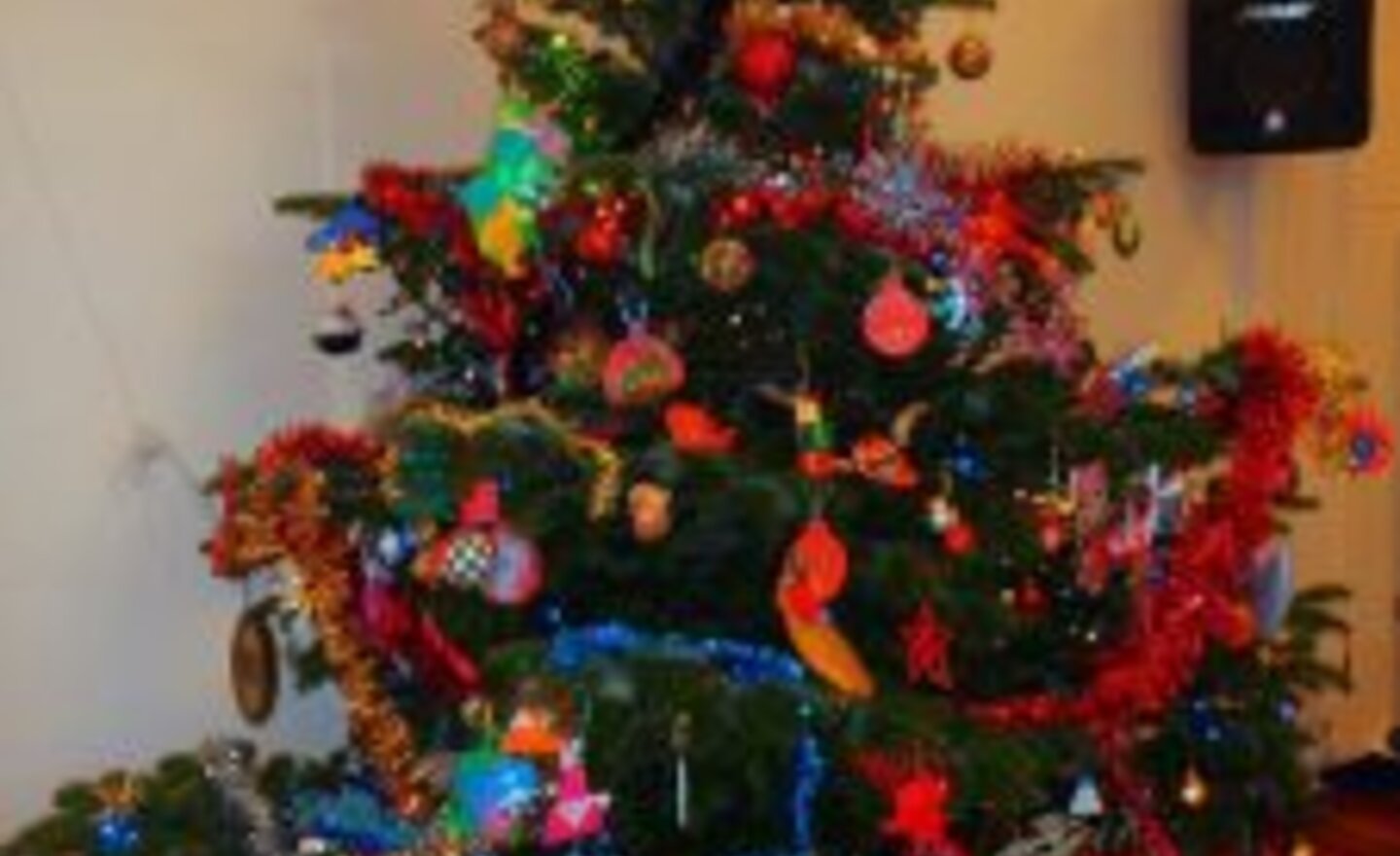 Image of Christmas performances