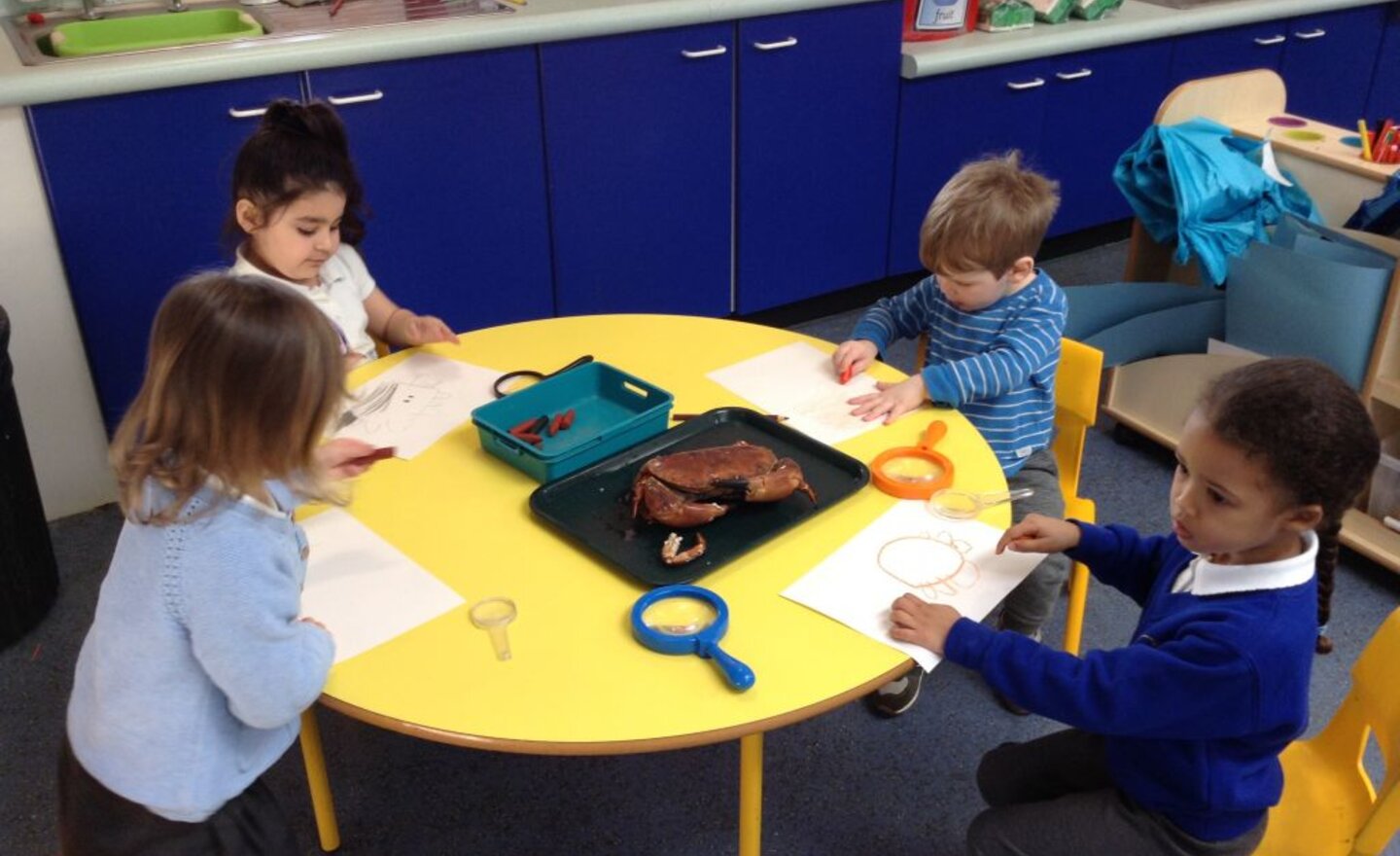 Image of Our study of sea creatures continues…