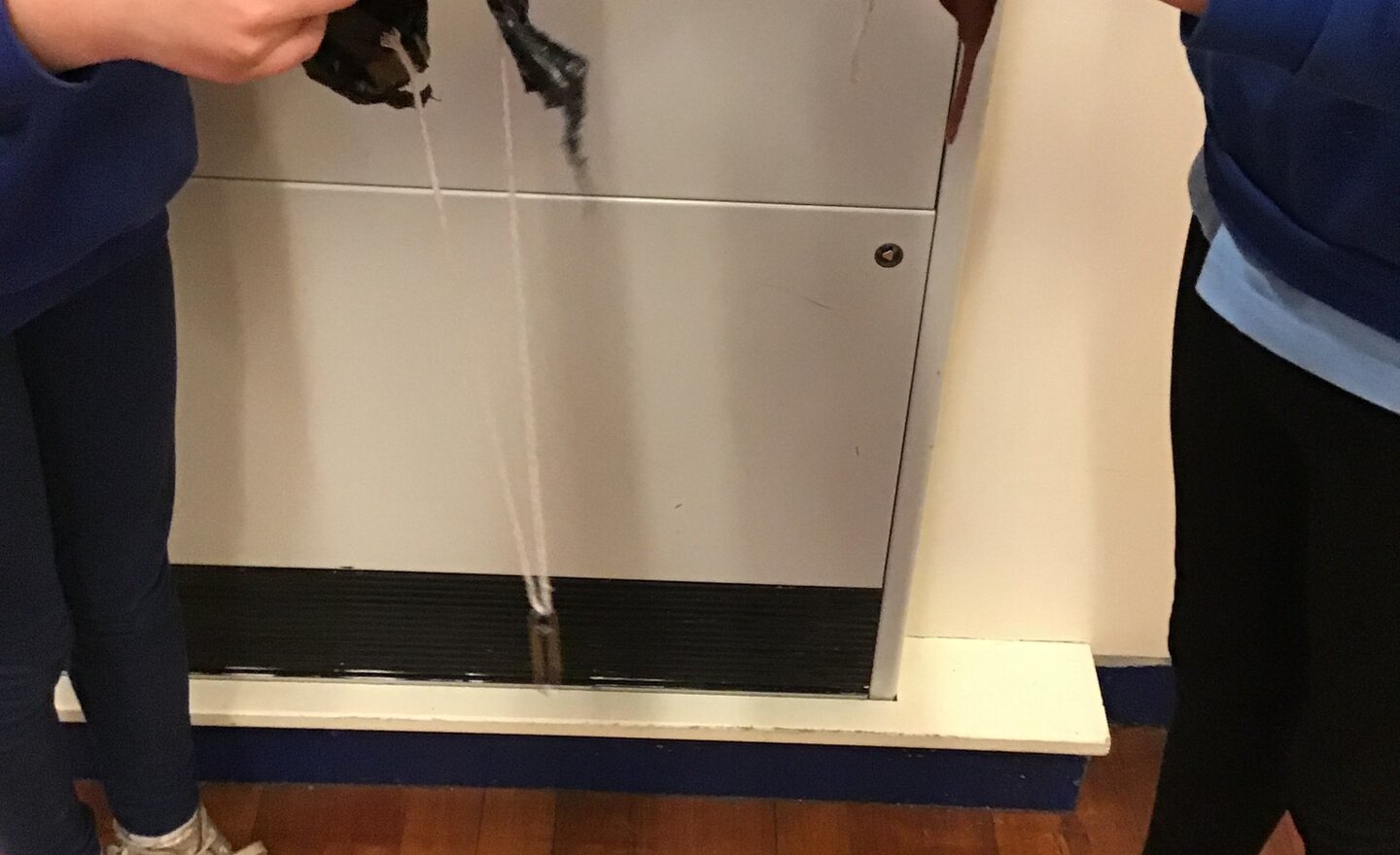 Image of Investigating Air Resistance