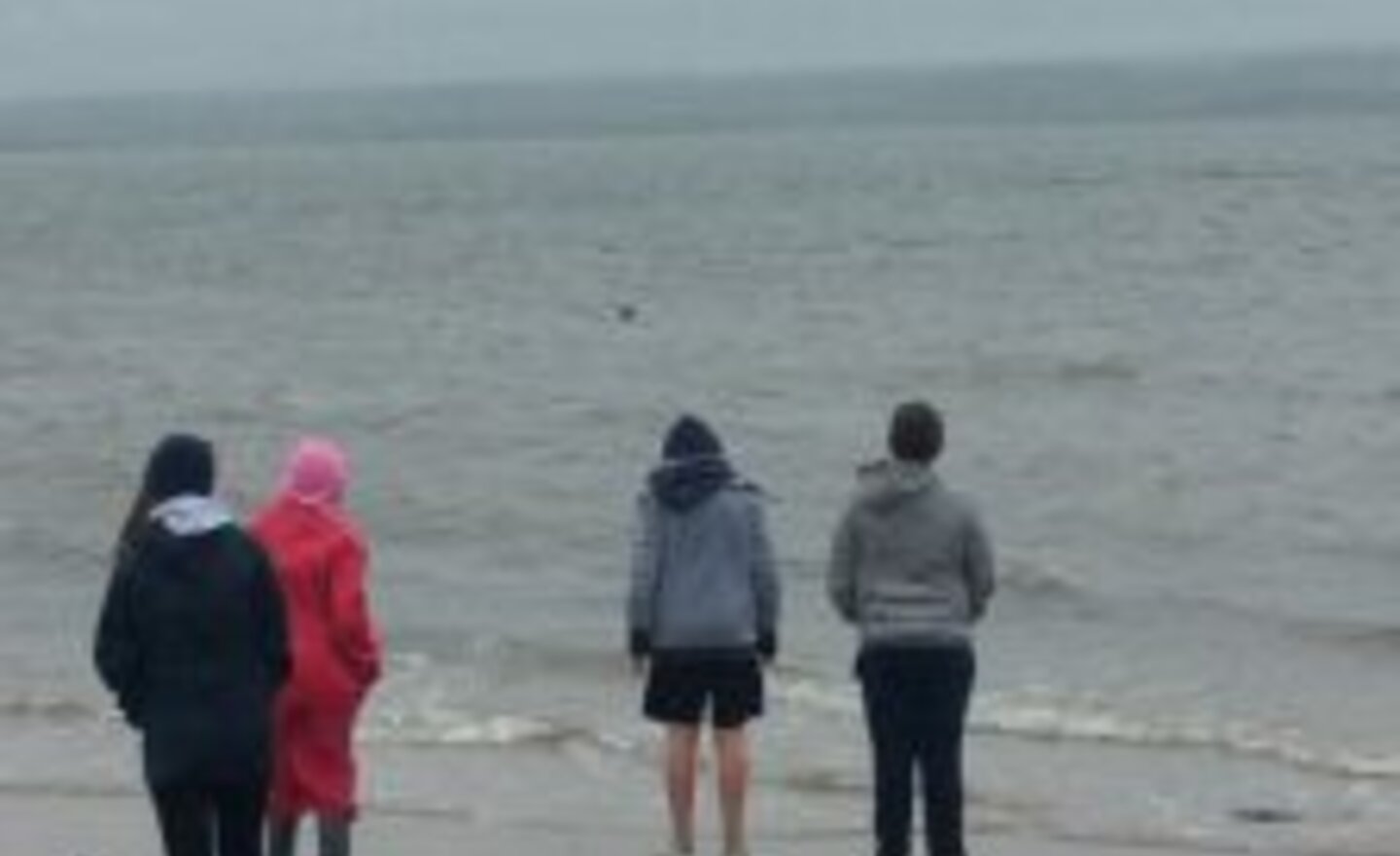 Image of Y6 webfooted wonders!