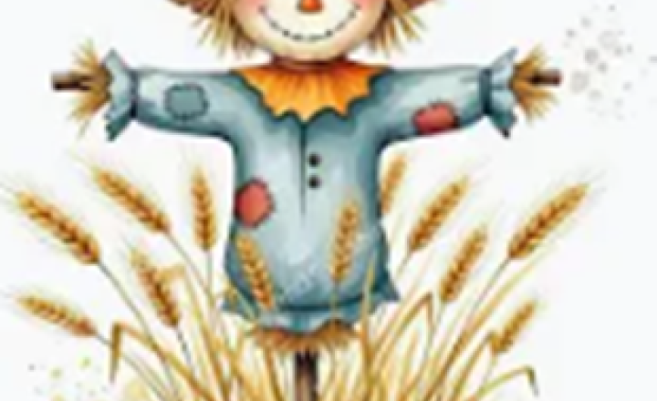 Image of Y6 Harvest Foodbank 