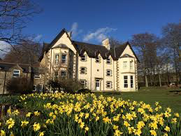 Image of We’re off to Robinwood!