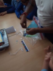 Image of Super Science!