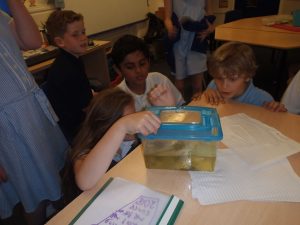 Image of How interesting!