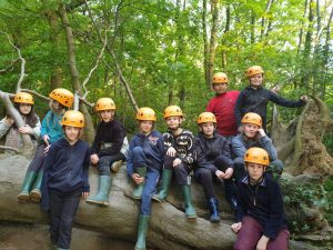 Image of Woodland Adventure