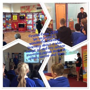 Image of Crucial Crew