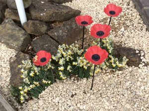 Image of Thank you Peter!