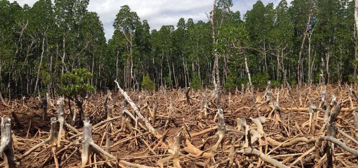 Image of Is Change Always a Good Thing?