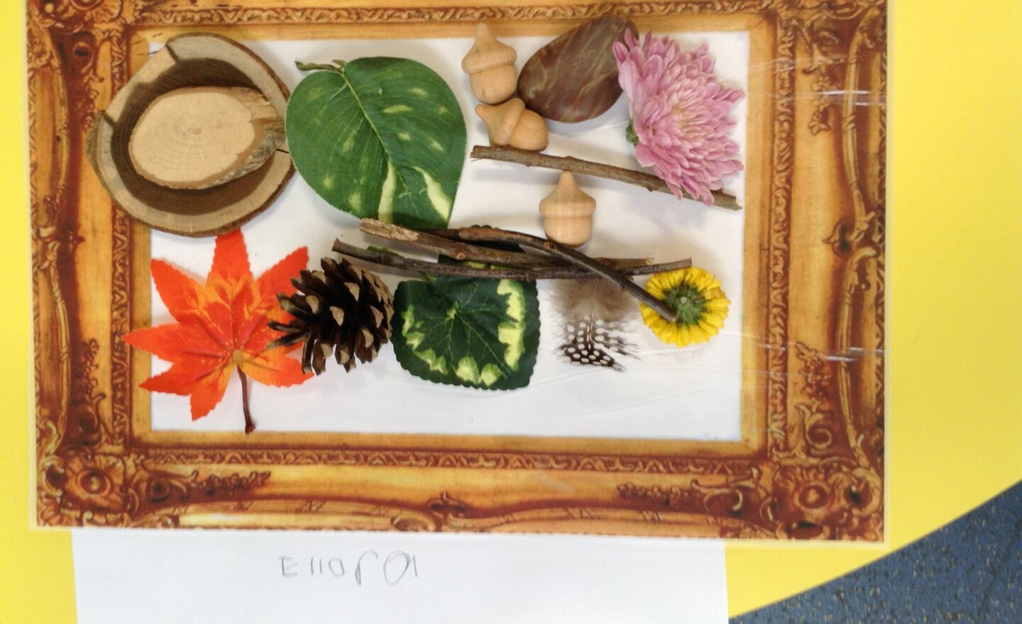 Image of A combination of seasons