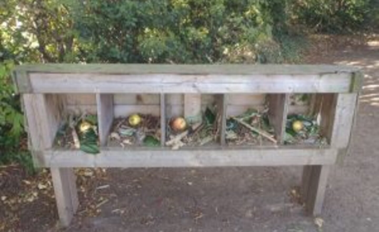 Image of Come and visit the Year4 Bug Hotel