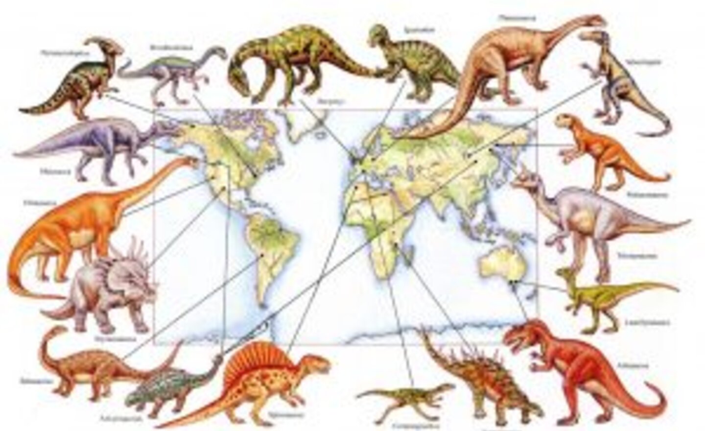 Image of Where were different dinosaurs found?