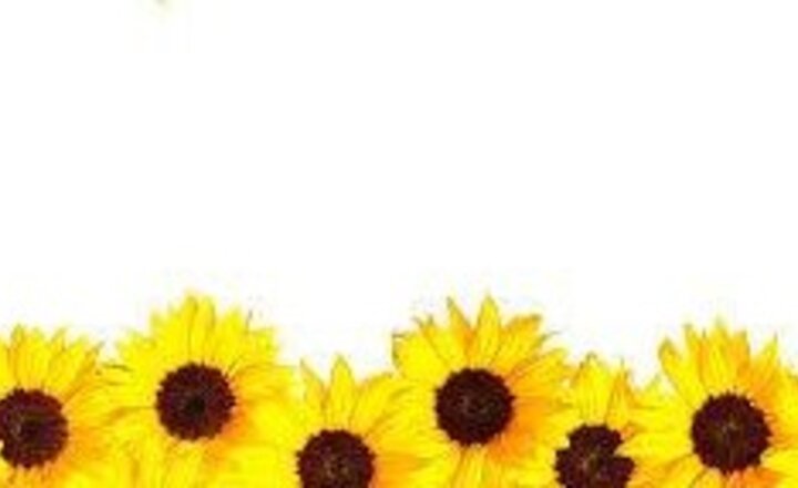 Image of Sunflowers