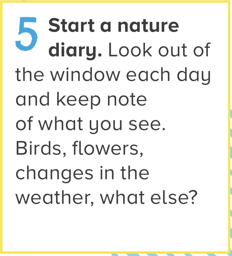 Image of Challenge 5 - Nature Diary