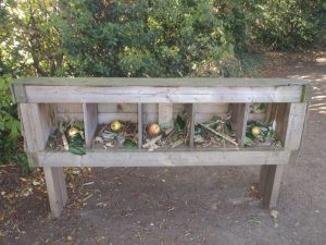 Image of Come and visit the Year4 Bug Hotel