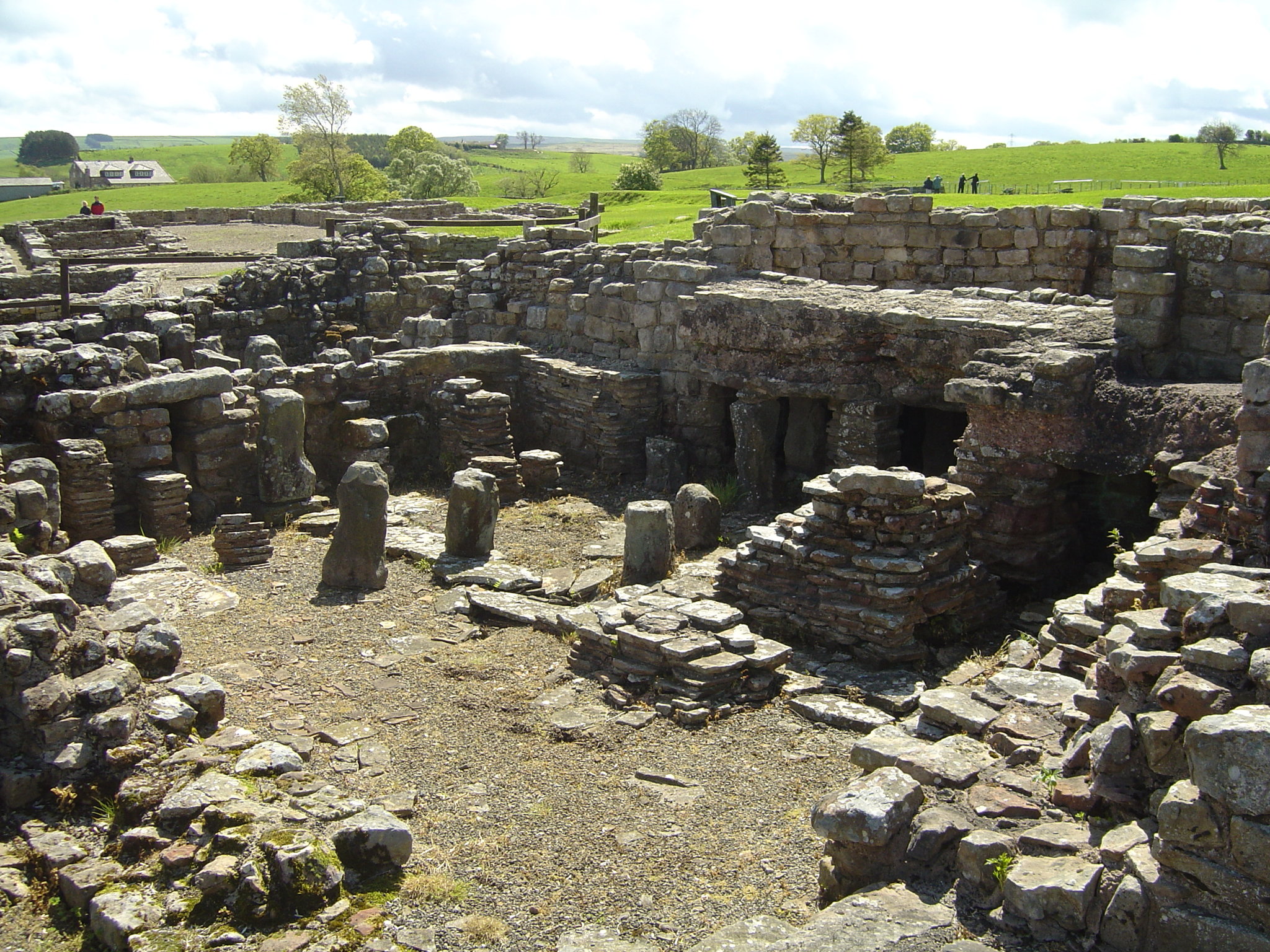 Image of Amazing Vindolanda Trip