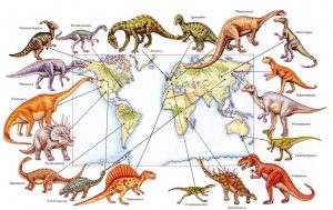 Image of Where were different dinosaurs found?